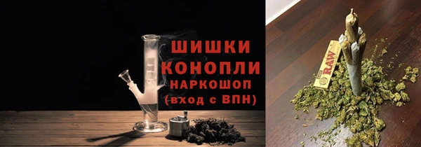 не бодяженный Новодвинск