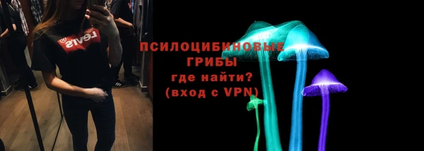 не бодяженный Новодвинск