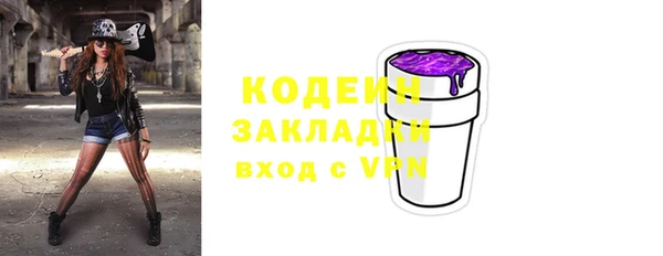 гашик Нея