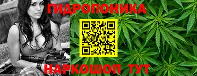 прущие крисы Гагарин
