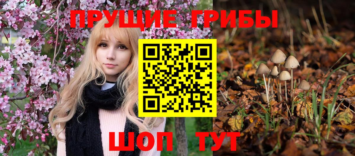 Галлюциногенные грибы Psilocybe  где купить наркотик  Зеленокумск  Вход с VPN  Псилоцибиновые грибы Cubensis 